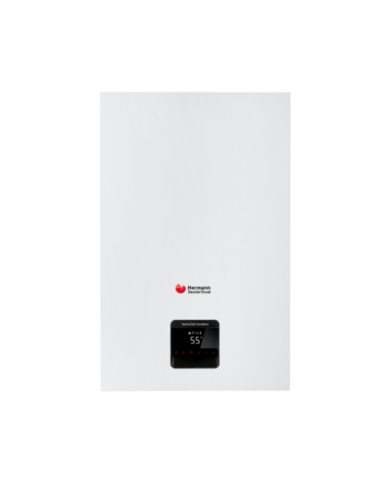 Caldaia a Condensazione Hermann Saunier Duval THEMATEK CONDENS 24 AS/1 kW Metano o GPL Completa di Kit Fumi Caldaia a Condensazione Hermann Saunier Duval THEMATEK CONDENS 24 AS/1 kW Metano o GPL Completa di Kit Fumi